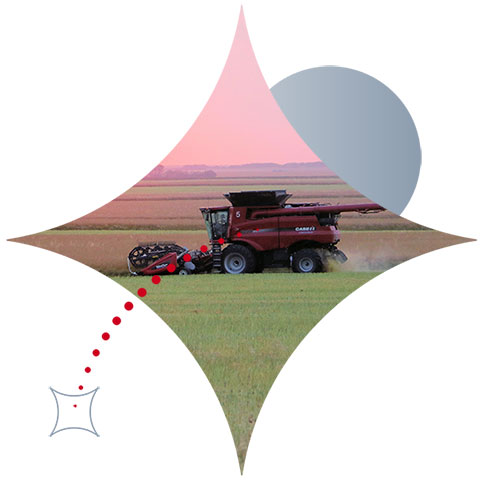Foreign exchange for the agriculture industry