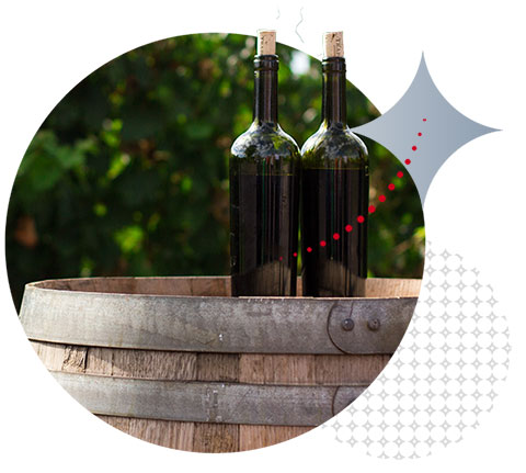 Empowering Wine Importers: Mastering Exchange Rate Strategies with Moneycorp