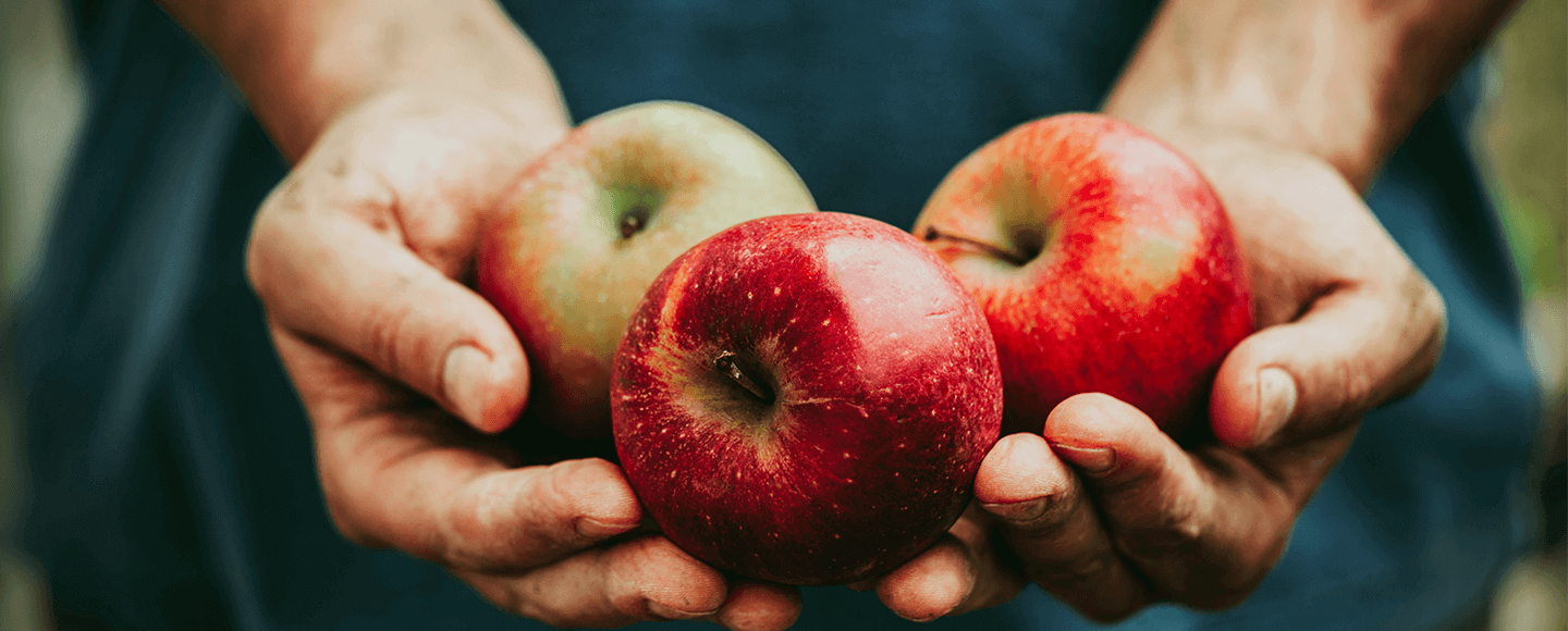 Chilean fruit grower streamlined foreign currency process