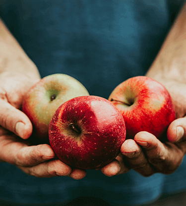 Chilean fruit grower streamlined foreign currency process