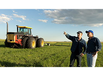 Agriculture